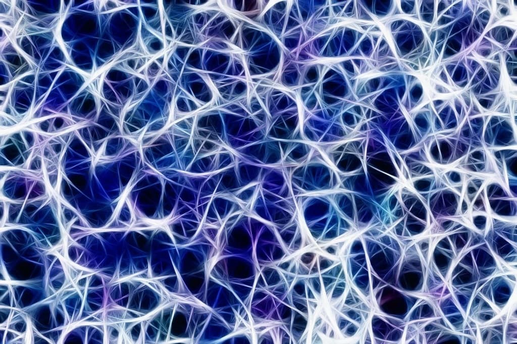 Neuroplastizität praktisch nutzen: Gehirntraining für Alltagssituationen